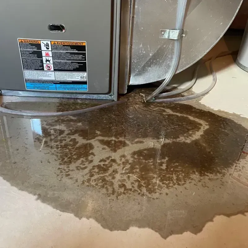 Appliance Leak Cleanup in Viroqua, WI